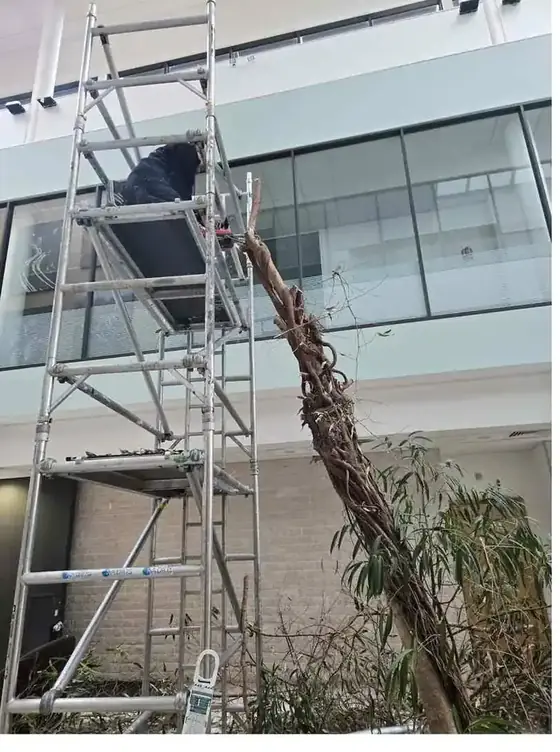 Commercial maintenance works London
